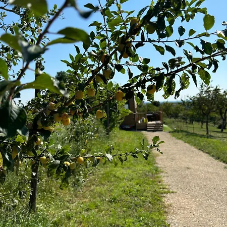 Дом отдыха La Tiny Du Rougy Frolois (Meurthe-et-Moselle)