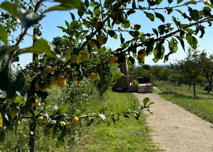 Prázdninový dům La Tiny Du Rougy Frolois (Meurthe-et-Moselle)